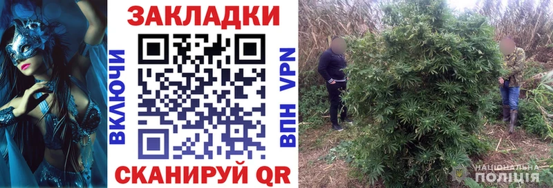 Виды наркотиков купить Рубцовск Конопля  Амфетамин  Cocaine  Гашиш  МЕФ  APVP 