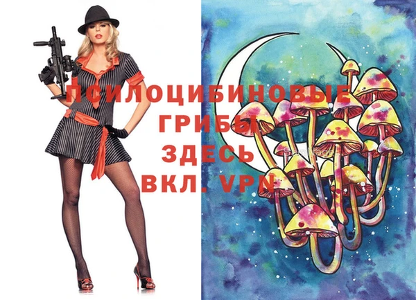 эйфоретик Алексеевка
