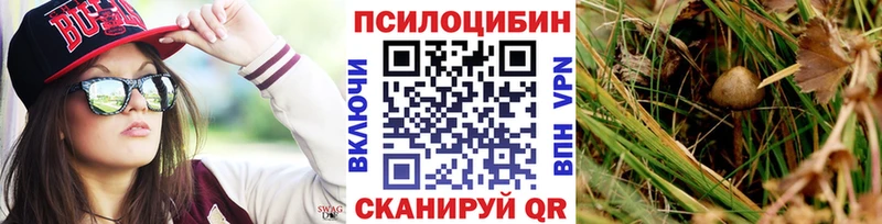 Псилоцибиновые грибы мицелий  Рубцовск 